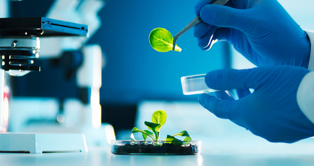 Miten bioteknologia ilmenee A&B laboratorioiden tuotteissa?
